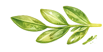 Home - PatioPizza leaves